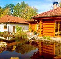 Holzhaus im Naturschutzgebiet zu vermieten - Bruchmühlbach-Miesau