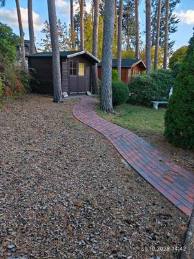 Foto - 4 Zimmer Einfamilienhaus in Gifhorn