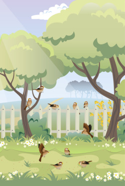 Foto - Bauernhaus mit 4 Wohneinheiten von Privat in 21436 Marschacht