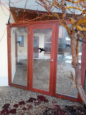 Foto - 3 Zimmer Erdgeschoßwohnung in Wegscheid