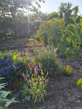 Foto - 