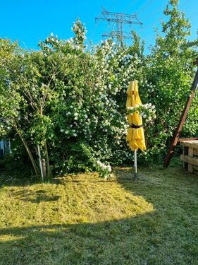 Foto - Garten in Rostock Westfriedhof abzugeben