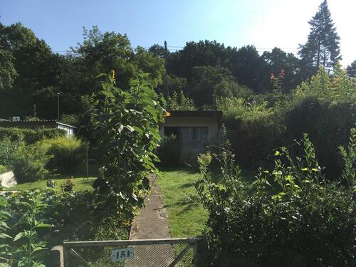 Foto - Kleingarten - 1.600,00 EUR Kaltmiete, ca.  0,00 m²