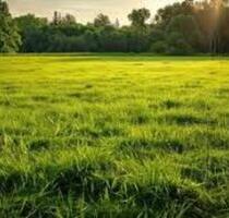 Ackerland + Wiese ca 3ha (30000 qm) - Thurnau