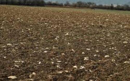 Foto - Grundst&uuml;ck zur Miete in Thurnau