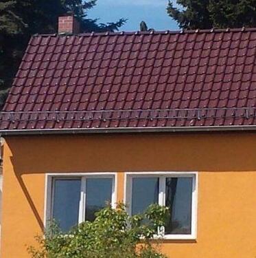 Foto - 6 Zimmer Einfamilienhaus zum Kaufen in Lanitz-Hassel-Tal