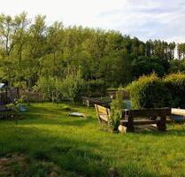 schöner großer Garten (in Gehren) - Ilmenau Frauenwald