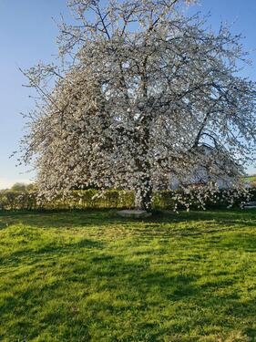 Foto - Große Hofreite, Bauernhof - 382.000,00&nbsp;EUR Kaufpreis, ca.&nbsp; 150,00&nbsp;m&sup2;