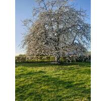 Große Hofreite, Bauernhof - 382.000,00&nbsp;EUR Kaufpreis, ca.&nbsp; 150,00&nbsp;m&sup2; in Weilburg (PLZ: 35781)