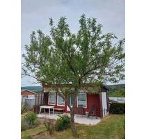 Pachtgarten - 3.500,00 EUR Kaltmiete, ca.  0,00 m² in Kranichfeld (PLZ: 99448)