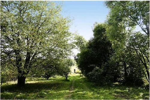 Foto - Pachtgarten am Stadtrand von Eisfeld