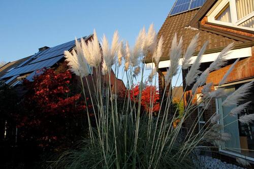 Foto - Doppelhaushälfte, Dortmund, frei März-Juli 2026, Uni-Nähe