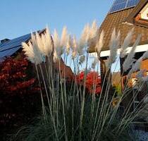 Doppelhaushälfte, Dortmund, frei März-Juli 2026, Uni-Nähe