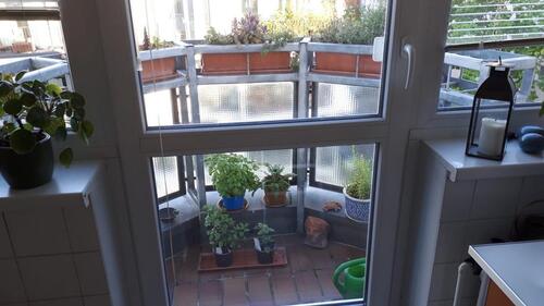 Foto - 