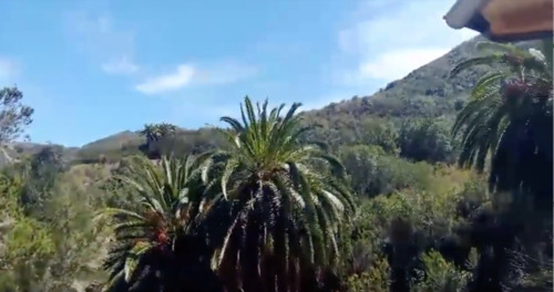 Foto - andere zur Miete in München