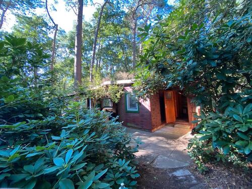 Foto - Idyllisches Waldhaus nahe Steinhuder Meer