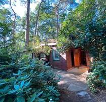 Idyllisches Waldhaus nahe Steinhuder Meer - Erkrath