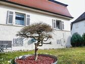 Foto - Einfamilienhaus in Friedrichshafen