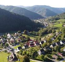 Kleines Einfamilienhaus zu verkaufen in Schramberg