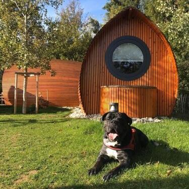 Foto - Schönes Camping Pod inmitten eines Naturschutzgebietes