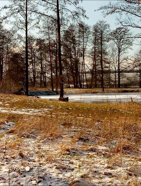 Foto - 22 Zimmer Einfamilienhaus in Zwickau