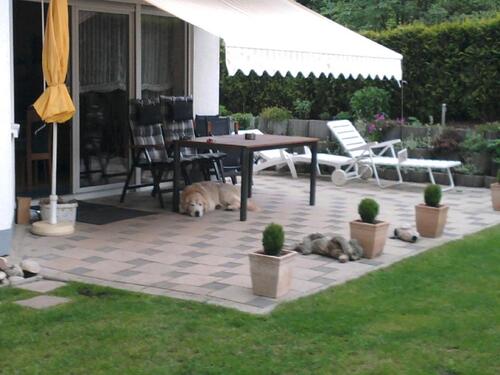 Foto - 4 Zimmer Einfamilienhaus zur Miete in Pirmasens
