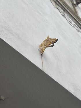 Foto - Erdgeschoßwohnung in Ingolstadt zur Miete