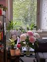 Foto - 2 Zimmer Etagenwohnung zur Miete in Berlin