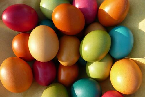 Foto - Ferienhaus an der Nordsee zu Ostern