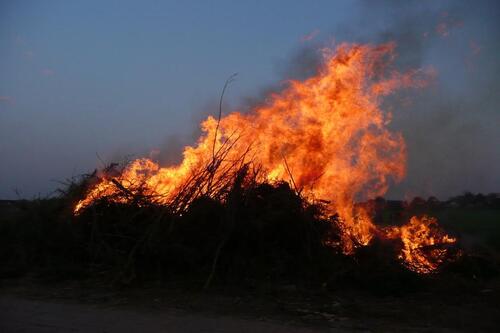 Foto - andere in Esens