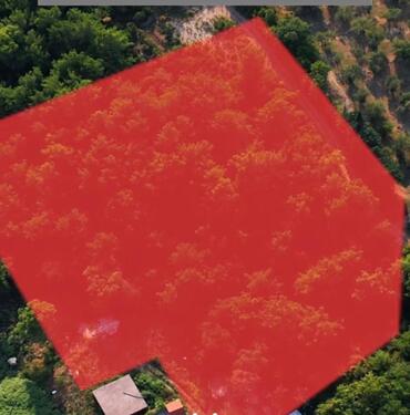 Foto - andere zur Miete in Höchstadt an der Aisch