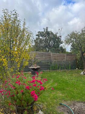 Foto - Grundst&uuml;ck in Lübben (Spreewald)