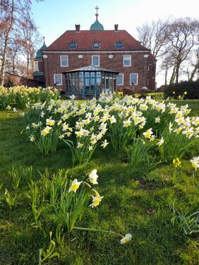 Foto - andere in Esens