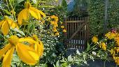 Foto - 4 Zimmer Einfamilienhaus in Hannover