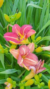 Foto - Gepflegte 2 ZKB in Neuhof-OT - 375,00 EUR Kaltmiete,