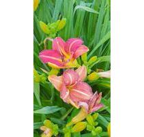 Gepflegte 2 ZKB in Neuhof-OT - 375,00 EUR Kaltmiete, in Neuhof (PLZ: 36119)