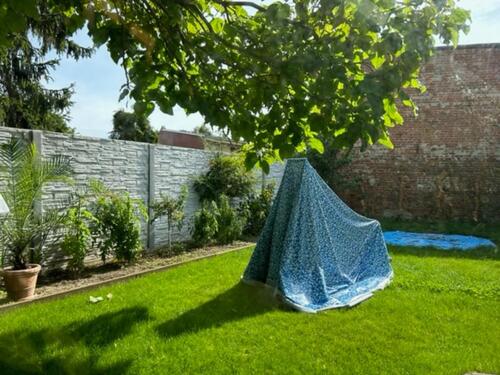 Foto - andere in Zerbst (Anhalt) zur Miete