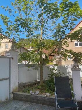 Foto - Zentralgelegene 140qm Wohnung im Herzen von Sulzthal zu vermieten