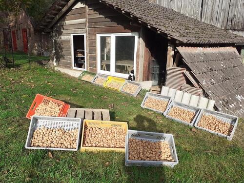 Foto - Einfamilienhaus in Plate