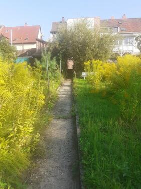 Foto - 8 Zimmer Einfamilienhaus zum Kaufen in Hochspeyer