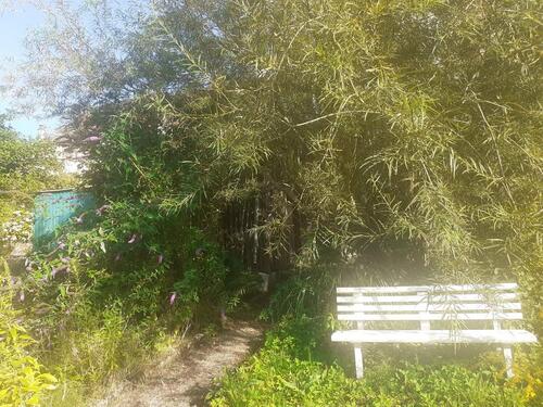 Foto - 8 Zimmer Einfamilienhaus in Hochspeyer