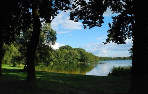 Foto - andere zur Miete in Schwerin