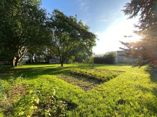 Foto - Garten Schrebergarten Kleingarten Wohnwagenstellplatz