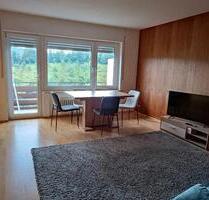 1.5 Zimmer Appartement - 450,00&nbsp;EUR Kaltmiete, ca.&nbsp; 40,00&nbsp;m&sup2; in Unterkirnach (PLZ: 78089)