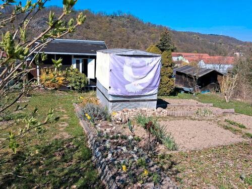 Foto - Kleingarten in Meissen wegen Umzug abzugeben