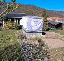 Kleingarten in Meissen wegen Umzug abzugeben - Meißen