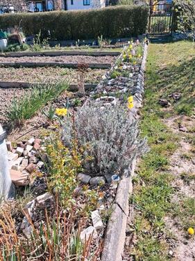 Foto - Grundst&uuml;ck zur Miete in Meißen