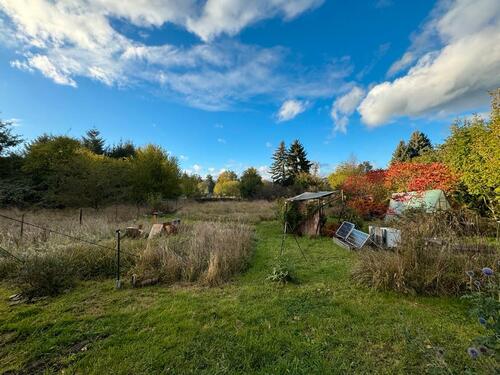 Foto - Gartengrundstück naturbelassen - 15.000,00&nbsp;EUR Kaufpreis, ca.&nbsp; 0,00&nbsp;m&sup2;