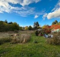 Gartengrundstück naturbelassen - 15.000,00&nbsp;EUR Kaufpreis, ca.&nbsp; 0,00&nbsp;m&sup2; in Oderberg (PLZ: 16248)