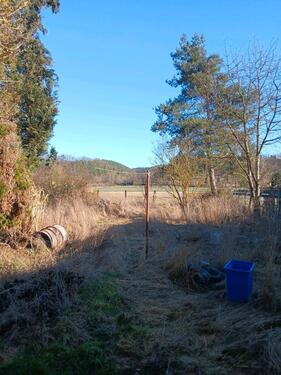 Foto - Einfamilienhaus in Kahla zum Kaufen